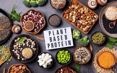Bridge2Food Summit Americas to explore changing plant-based protein landscape