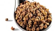 Kalsec® Szechuan Pepper Extract - The Latest Sensation!