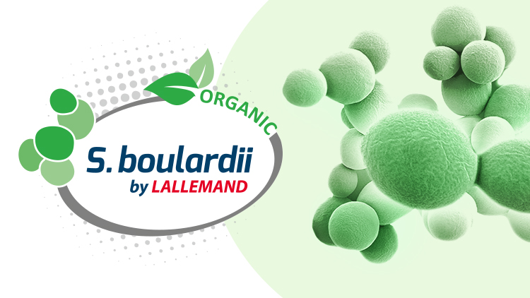 Organic S. boulardii: A Probiotic Breakthrough by Lallemand
