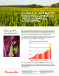 Quinoa: Plant-based Protein Advantages & Innovations